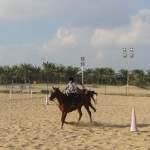 Horse Riding at mushrif park